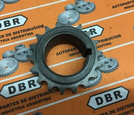 DBR019