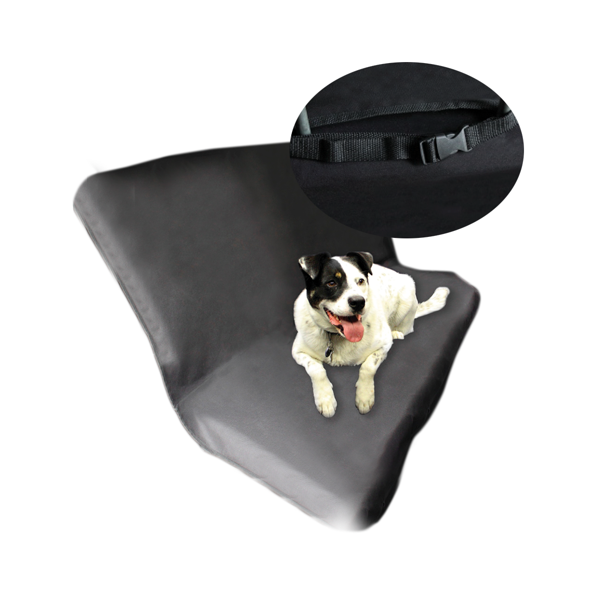 pet002